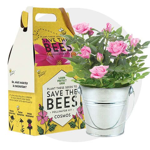 plant kits