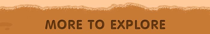 MORE TO EXPLORE