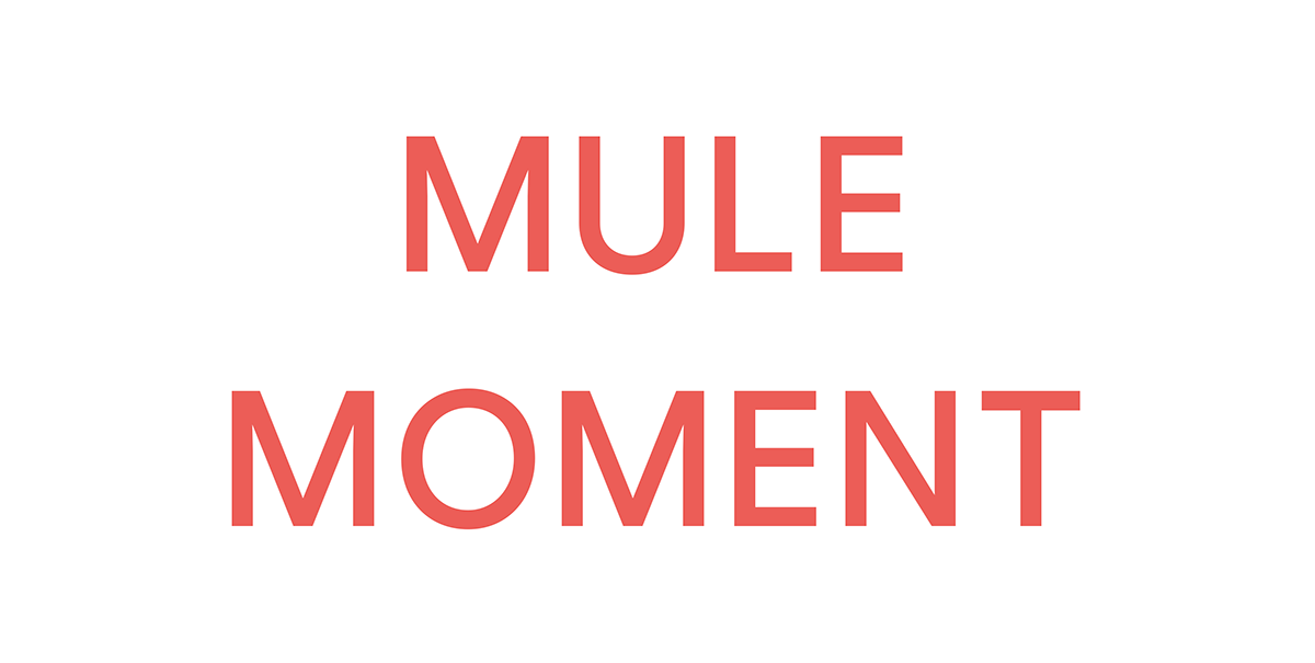 Mule moment