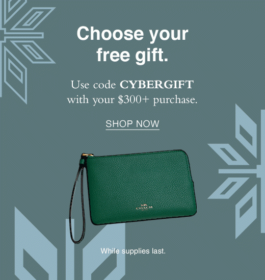 Choose your free gift. Use Code CYBERGIFT with your $300+ purchase. SHOP NOW