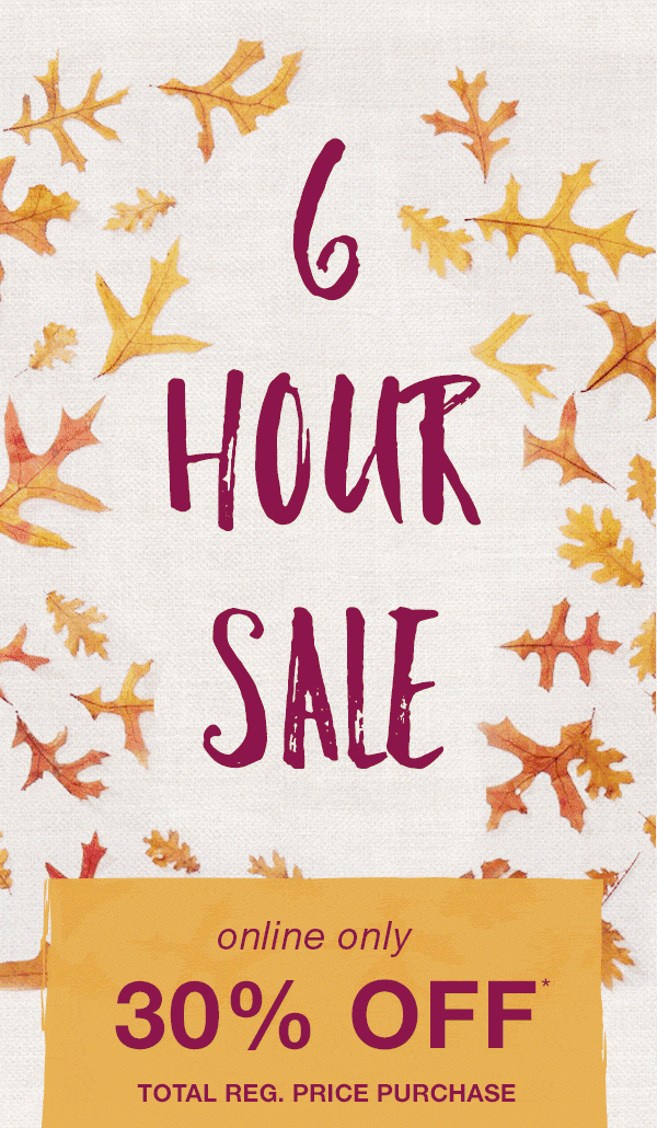 6 hour sale. Online only. 30% off* total reg. price purchase.