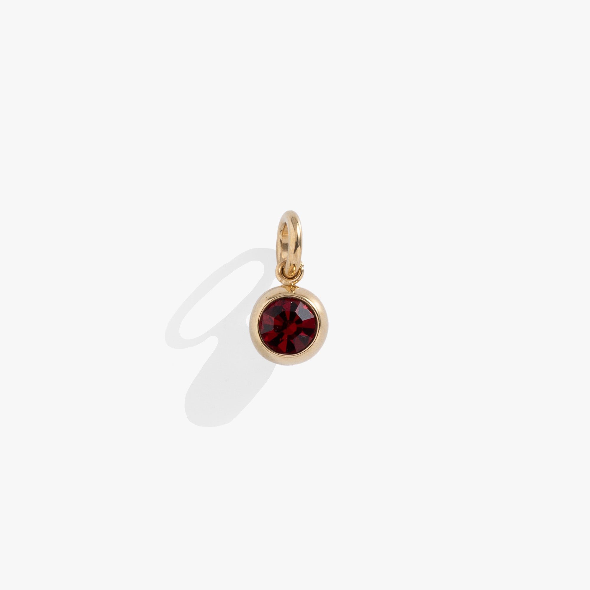 Image of January Birthstone Interchangeable Charm