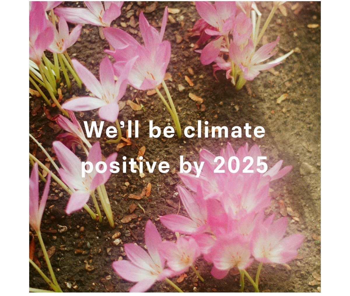 We'll be climate positive by 2025