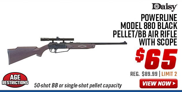 Daisy Powerline Model 880 Black Pellet/BB Air Rifle with Scope