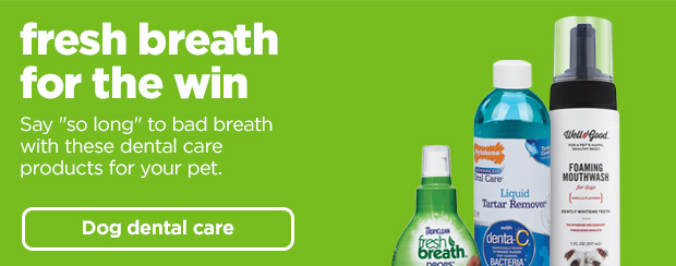 Shop dog dental care >