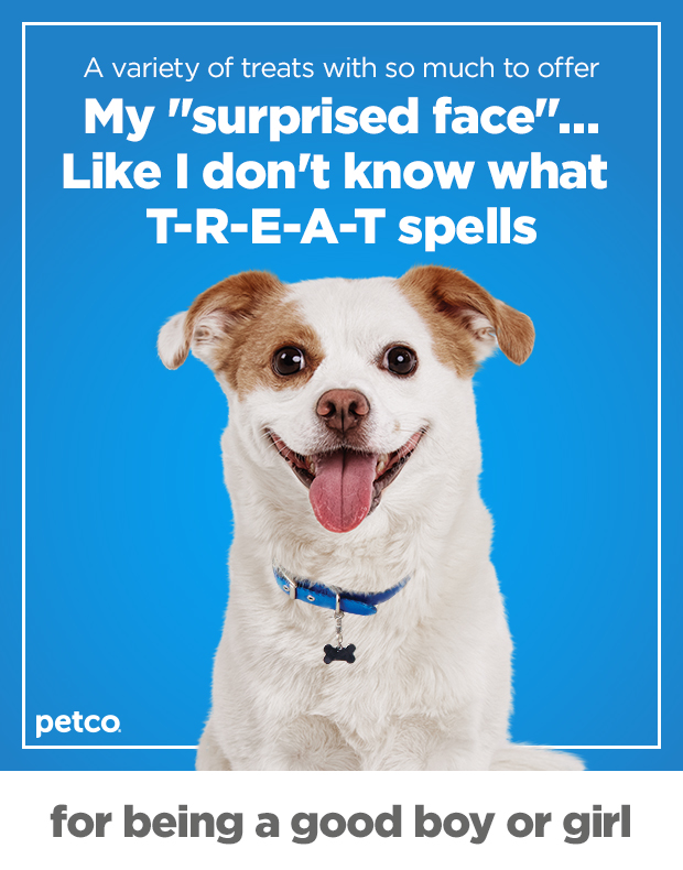 A variety of treats with so much to offer my surprised face...Like I don't know what T-R-E-A-T spells.