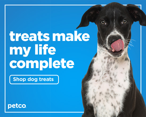 Treats make my life complete. Shop dog treats.