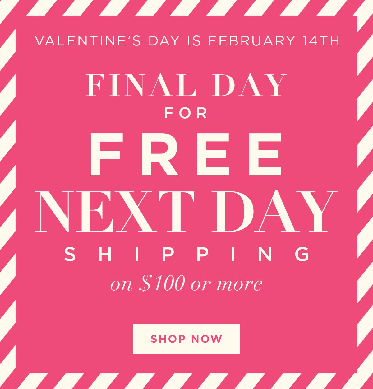 Free Next Day Shipping On $100 Or More - Shop Now