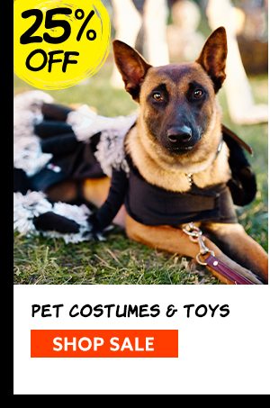 Pet Costumes & Toys