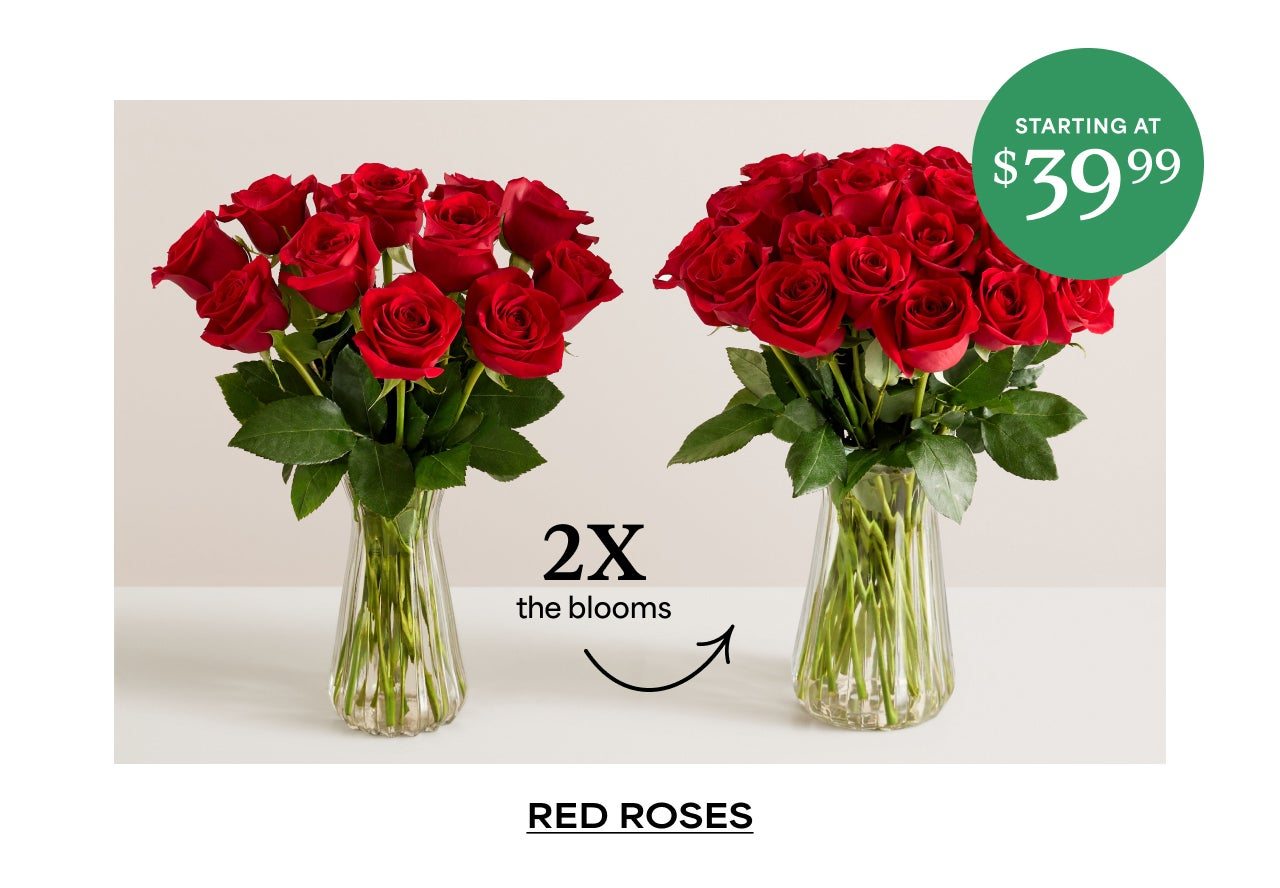 SHOP RED ROSES