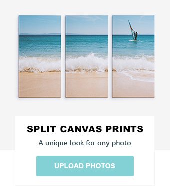 Split Canvas Prints