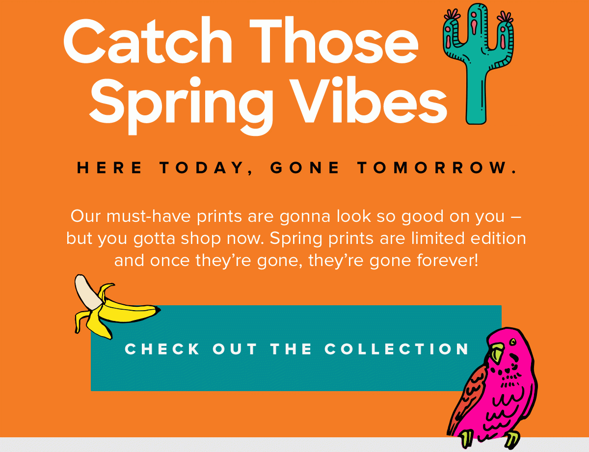Check Out the Collection