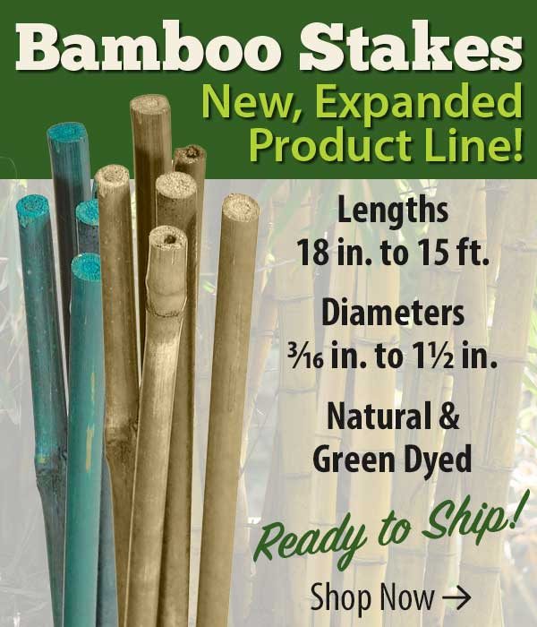 Bamboo Stakes. New expanded selection, in stock and ready to ship! Shop now.