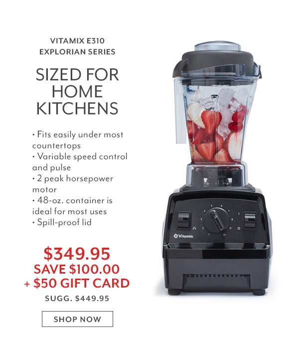 Vitamix E310