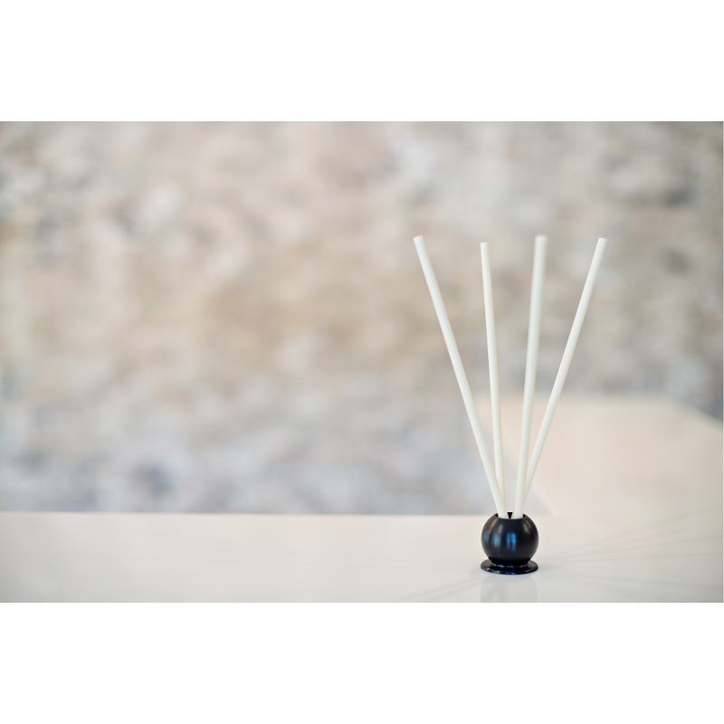 Asian Garden 10 Piece Pre-Scented Sticks with Vase