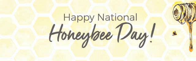 Happy National Honeybee Day!