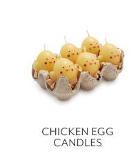 Chicken Egg Candles