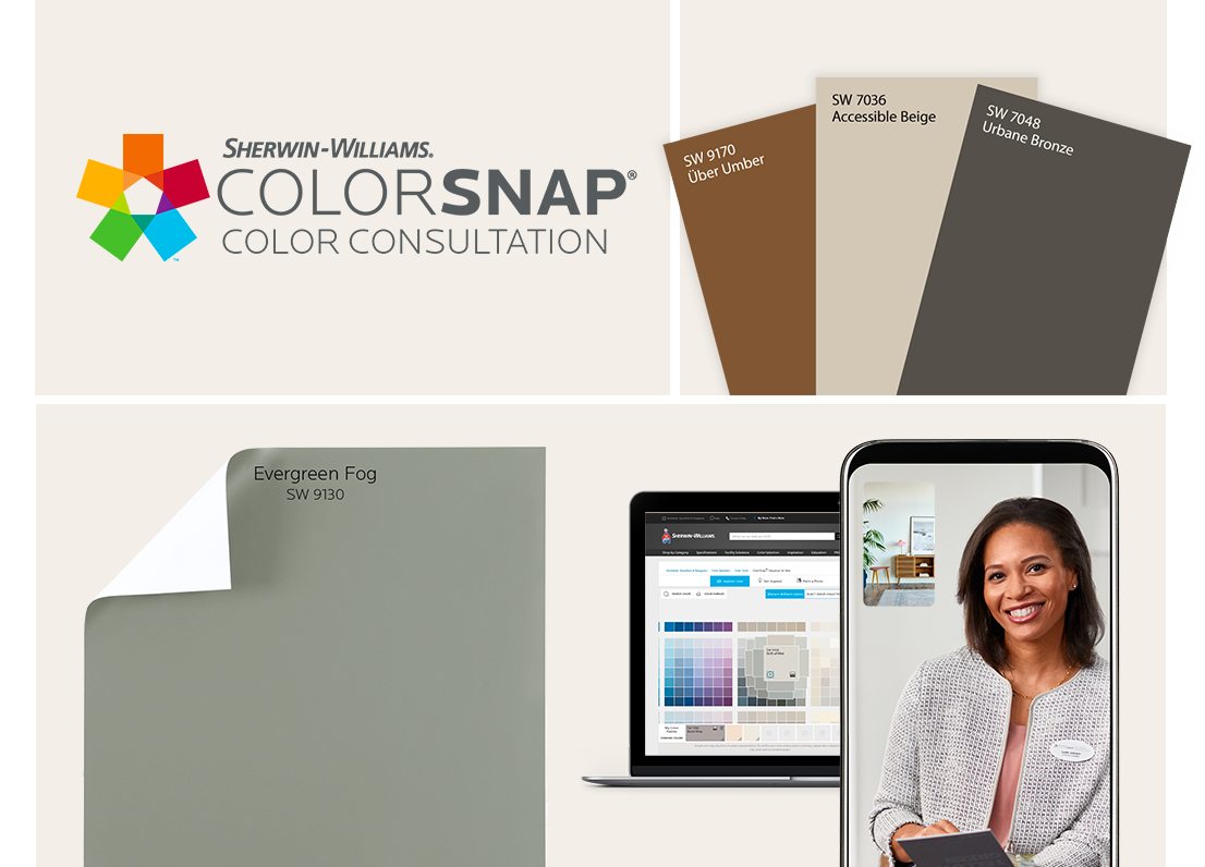 Sherwin-Williams Colorsnap Color Consultation