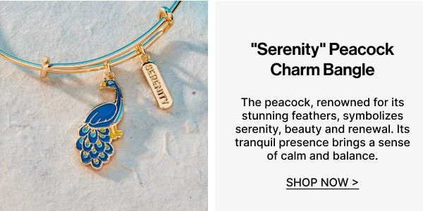 'Serenity' Peacock Duo Charm Bangle Bracelet | Shop Now