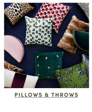 Shop Pillows & Throws