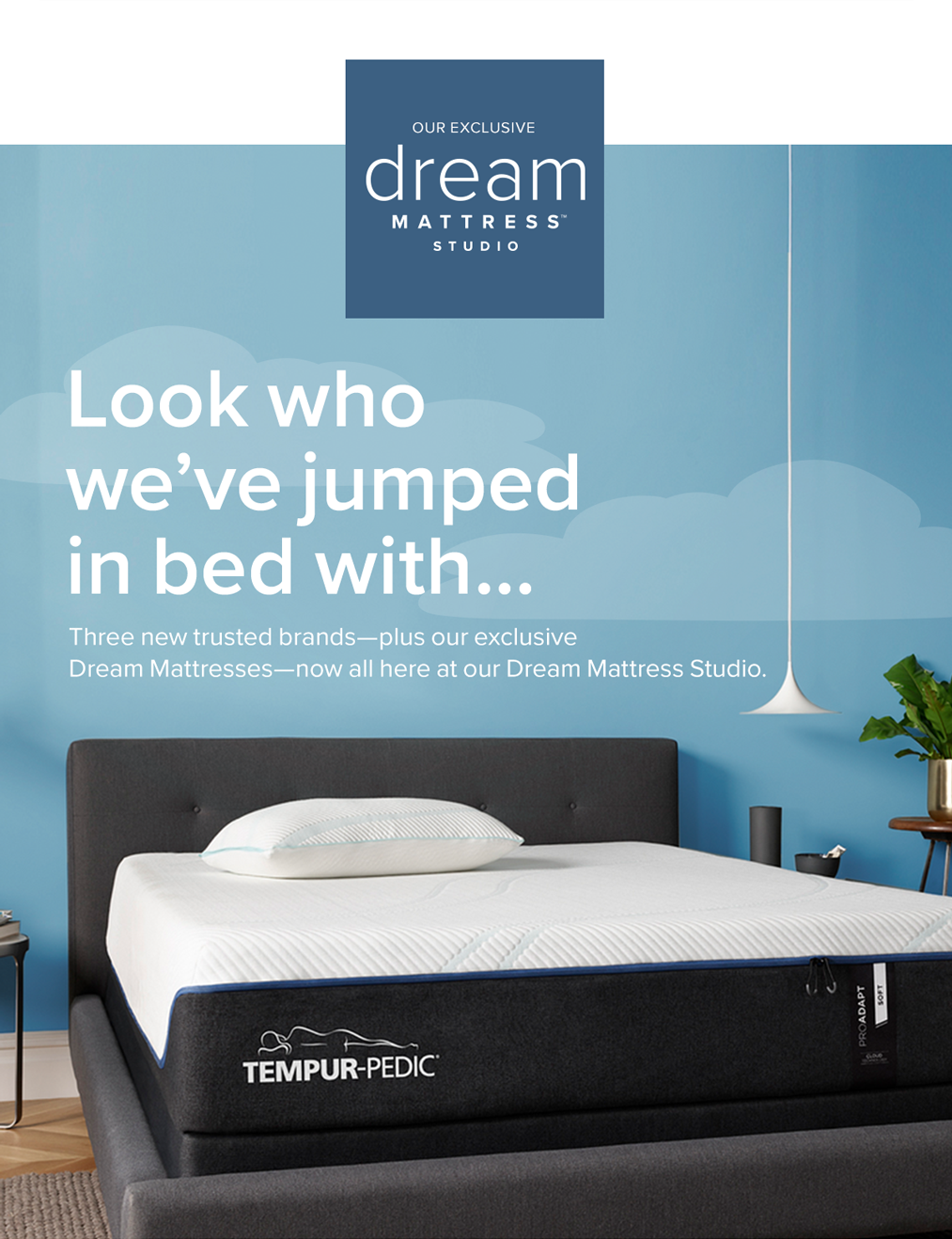 Shop Mattresses
