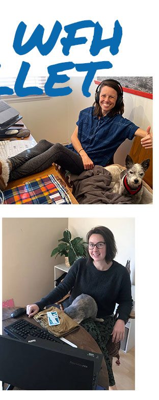 The WFH Mullet - Women's Side