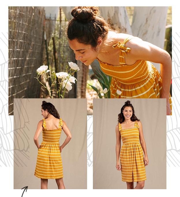 Gemina Dress in Gooseberry Wide Stripe