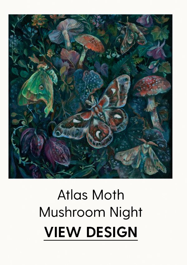 Atlas Moth Mushroom Night | View Design