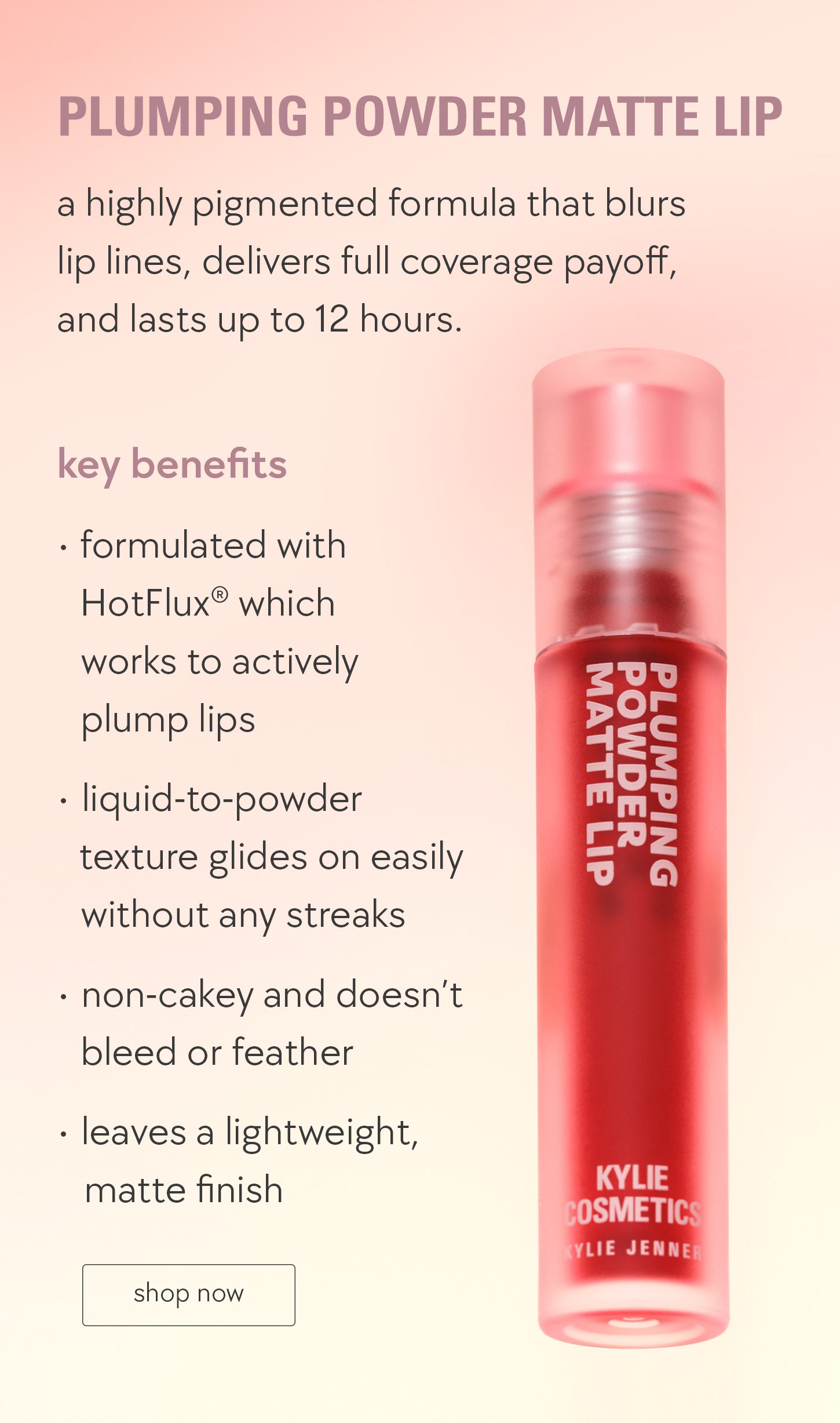 shop new! plumping matte lip