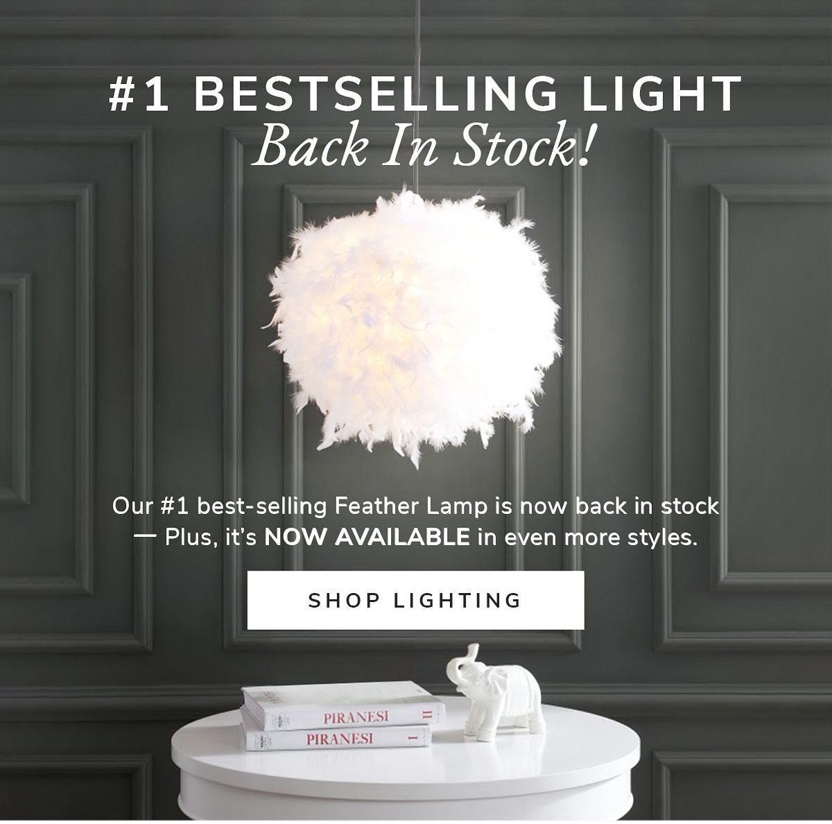 #1 Bestselling Light Back in stock! | SHOP LIGHTING