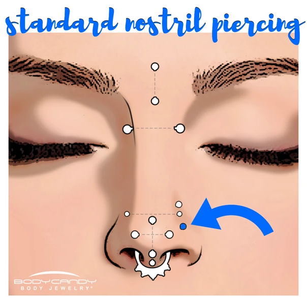 Encyclopedia of Body Piercings: Standard Nostril Piercing