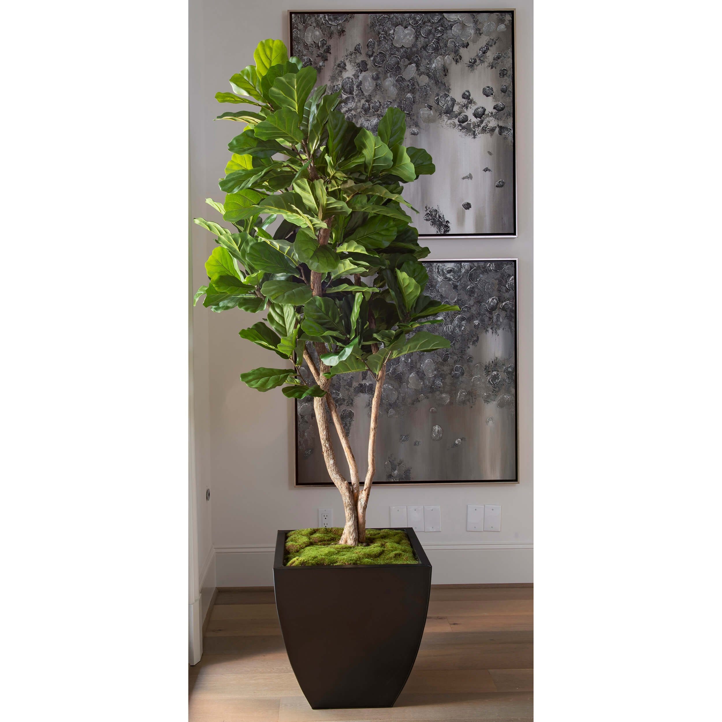 Faux Fiddle Fig Tree, Zinc Planter