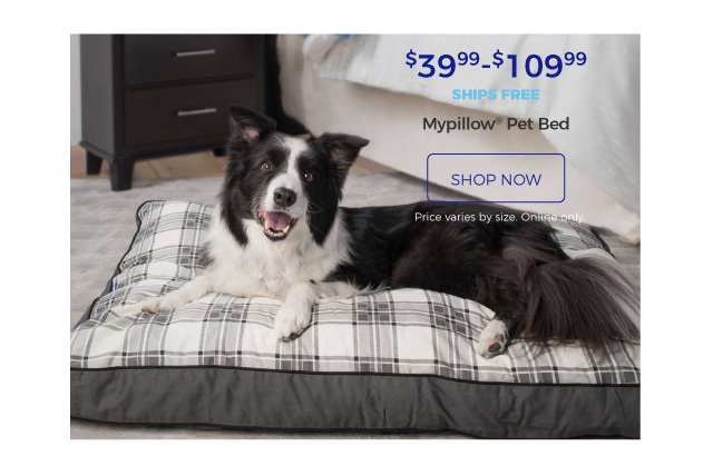 Mypillow® Pet Bed | $39.99-$109.99 | ships free | shop now | Price varies by size. Online only.