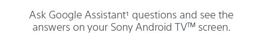 Ask Google Assistant¹ questions and see the answers on your Sony Android TV™ screen.