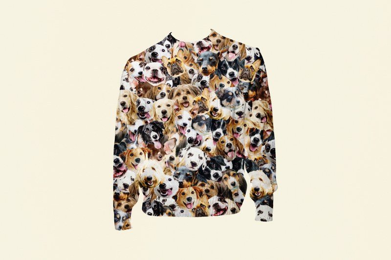 A sweater covered in photos of dogs