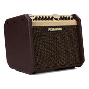 Fishman Loudbox Mini BT 60-watt 1 x 6.5-inch Acoustic Combo Amp