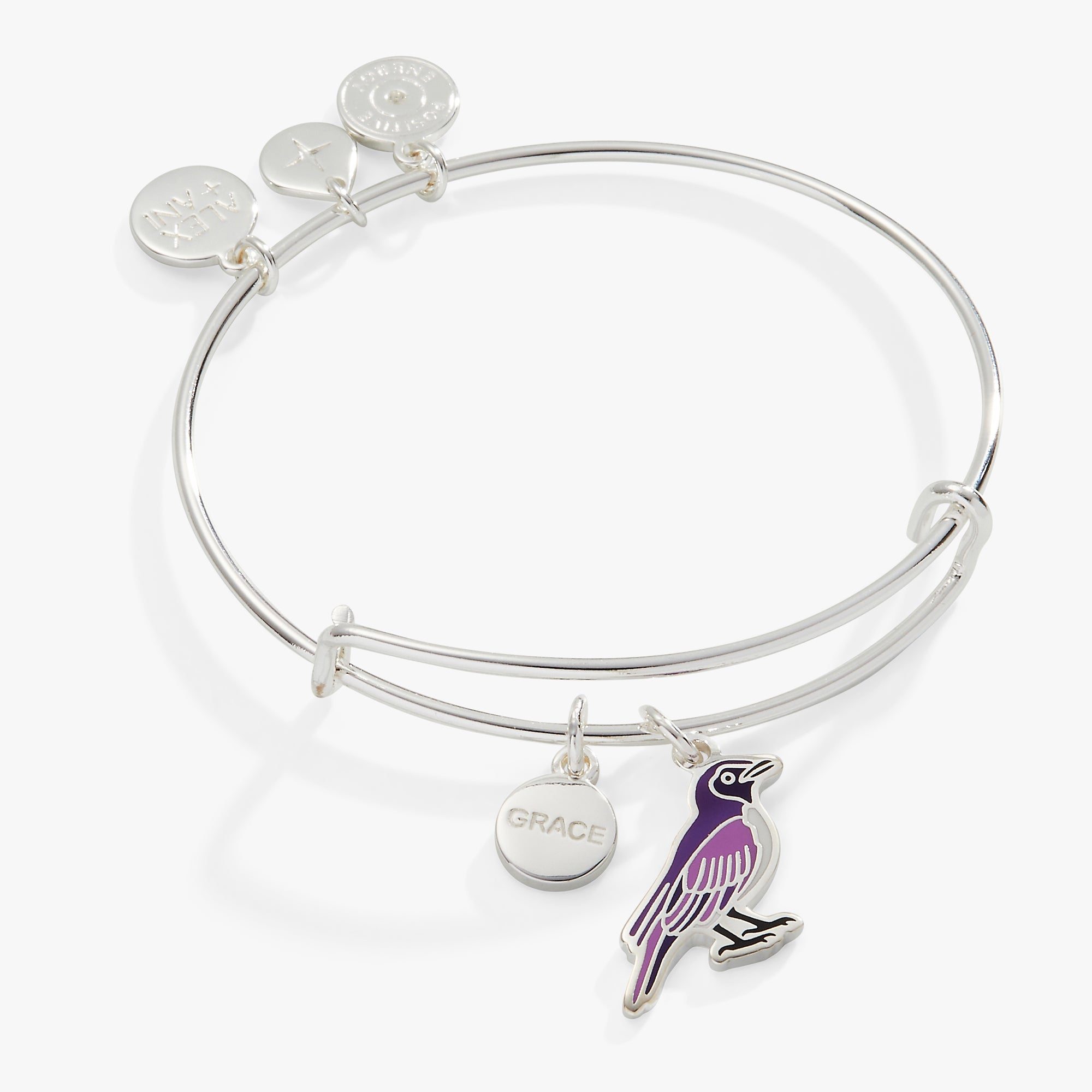 Image of 'Grace' Violet Backed Starling Charm Bangle