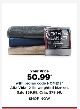 your price 50.99 altavida 12-pound reversible weighted blanket after you use promo code HOME15 at ch