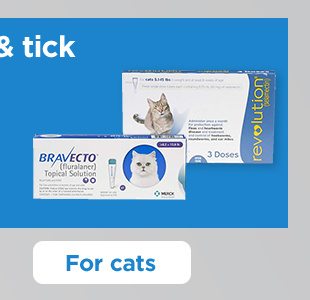 Flea & tick. For cats.