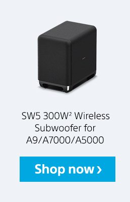 SW5 300W(2) Wireless Subwoofer for A9/A7000/A5000 | Shop now
