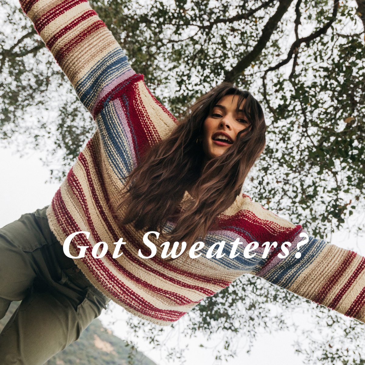 Got Sweaters?