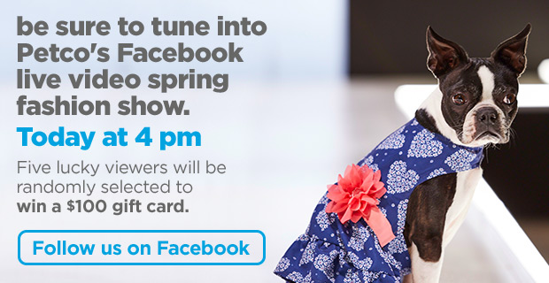 Be sure to tune into Petco's Facebook live video spring fashion show. Today at 4 pm. Five lucky viewers will be randomly selected to win a $100 gift card. Follow us on Facebook.