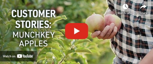 munckey-apples-video-email2