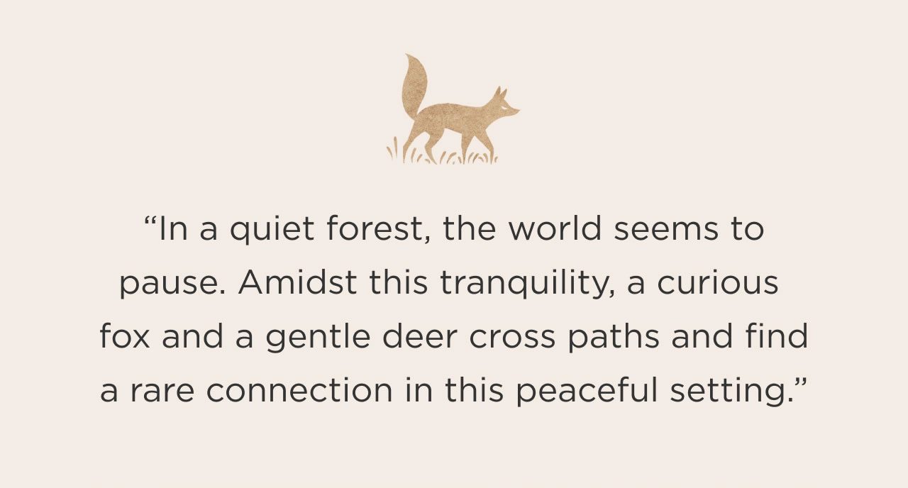 In a quiet forest, the world seems to pause