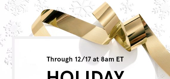 THE HOLIDAY FLASH SALE