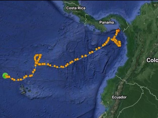 Track of Susan the Blue Marlin in ETPSP