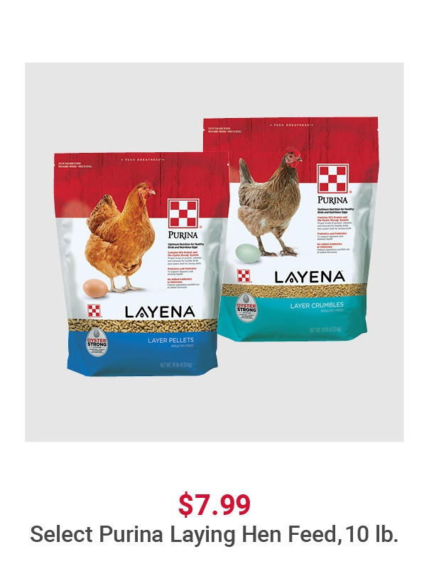 Select Purina Laying Hen Feed 10lb
