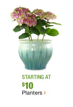 STARTING AT $10 PLANTERS