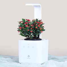 Intelligent 4 in 1 Flower Pot Digital Soil Moisture Nutrition Light Monitor