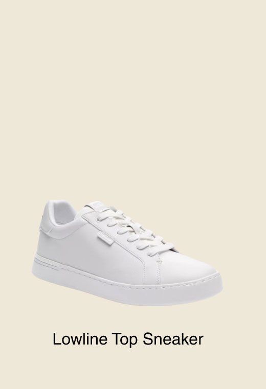 Lowline Top Sneaker 